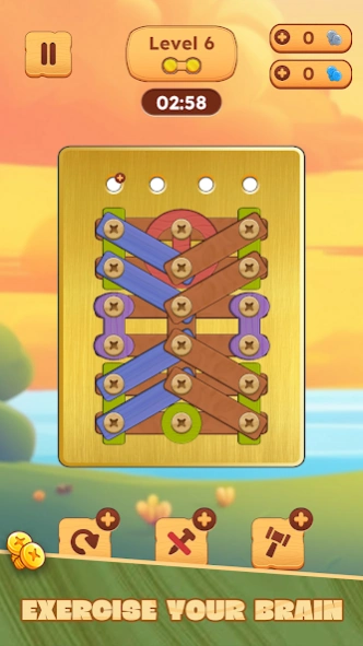 Wood Puzzle: Nuts & Bolts 1.1.3 Screenshot