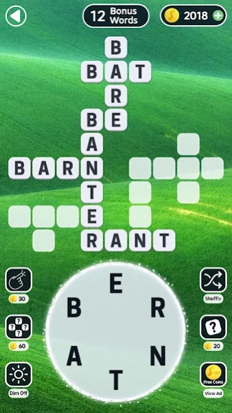 Word Swipe Crossword Puzzle 8.0.2 Screenshot